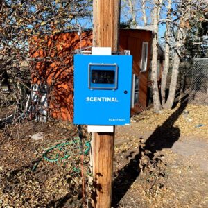 Scentinal_SL50_inField_Tree